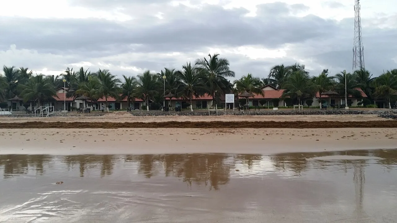Busua