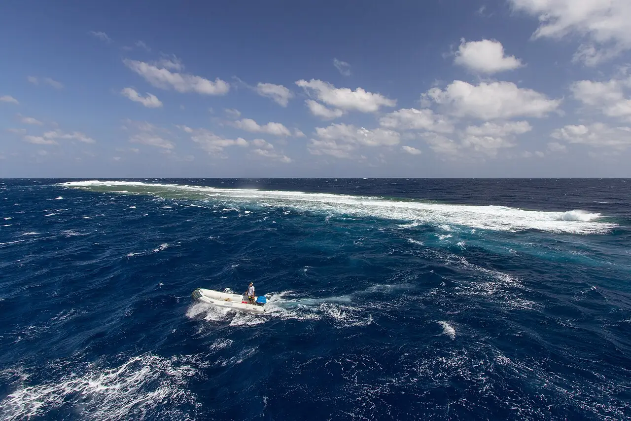 Elphinstone Reef