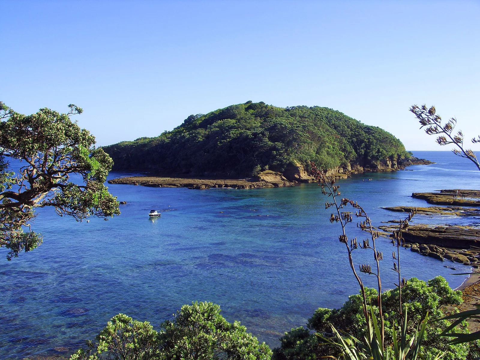 Goat Island — Leigh