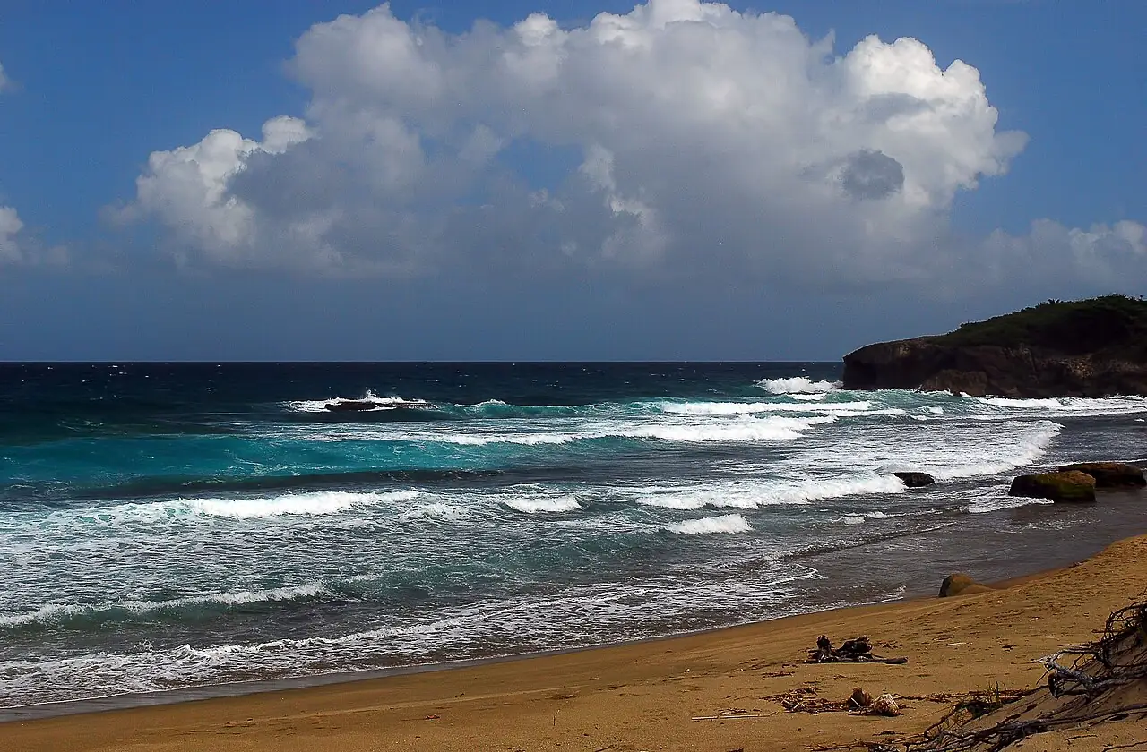 Jobos Beach
