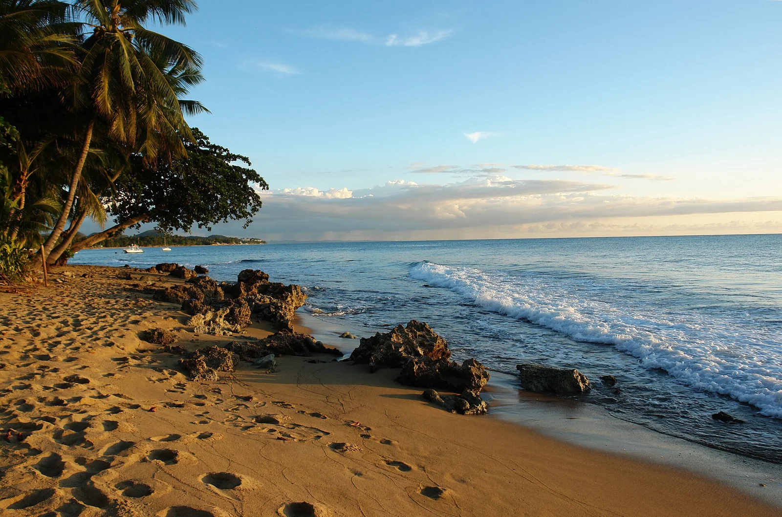 Rincón — Tres Palmas